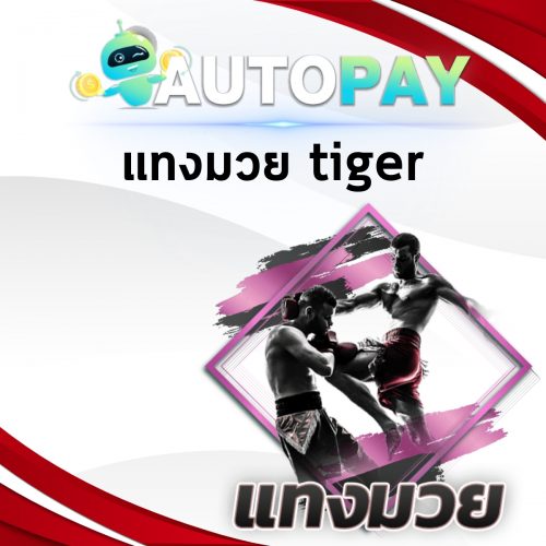 เปิดเว็บพนันสามารถทำคนเดียวได้มั้ย By Autopay (19)