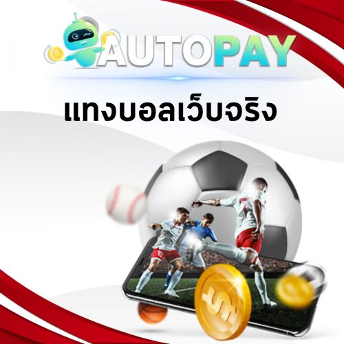 เปิดเว็บพนันสามารถทำคนเดียวได้มั้ย By Autopay (3)