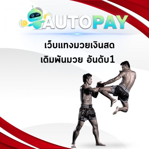 เปิดเว็บพนันสามารถทำคนเดียวได้มั้ย By Autopay (3)