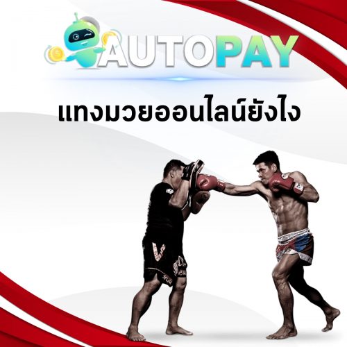 เปิดเว็บพนันสามารถทำคนเดียวได้มั้ย By Autopay (5)