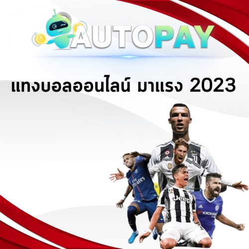 เปิดเว็บพนันสามารถทำคนเดียวได้มั้ย By Autopay (7)